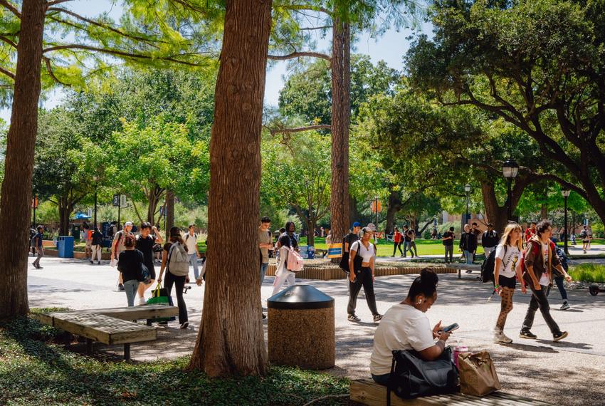 Students on the University of Texas at Arlington campus in Arlington on Sept. 10, 2024.